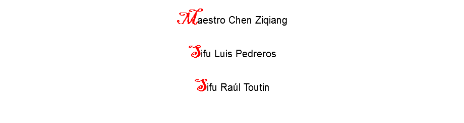 
Maestro Chen Ziqiang Sifu Luis Pedreros Sifu Raúl Toutin 